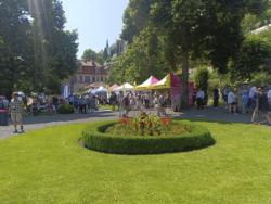 04Praga Dzień Polski 2025 6.jpg